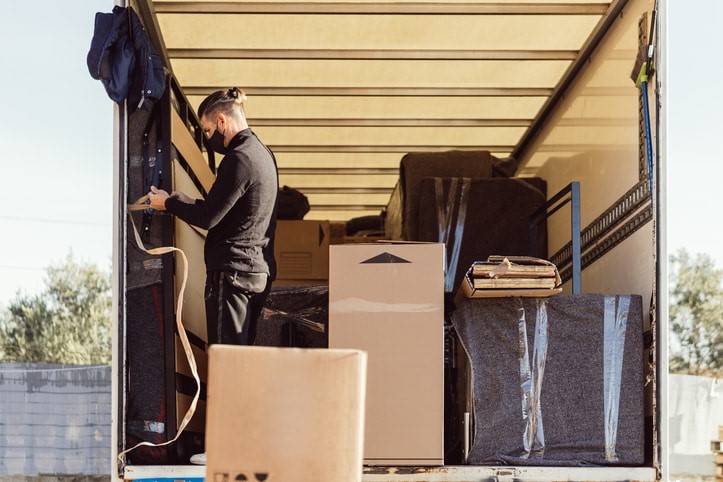 Search movers company online