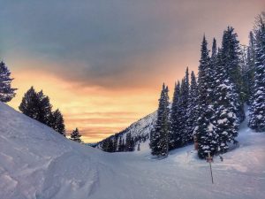 interstate movers in Montana